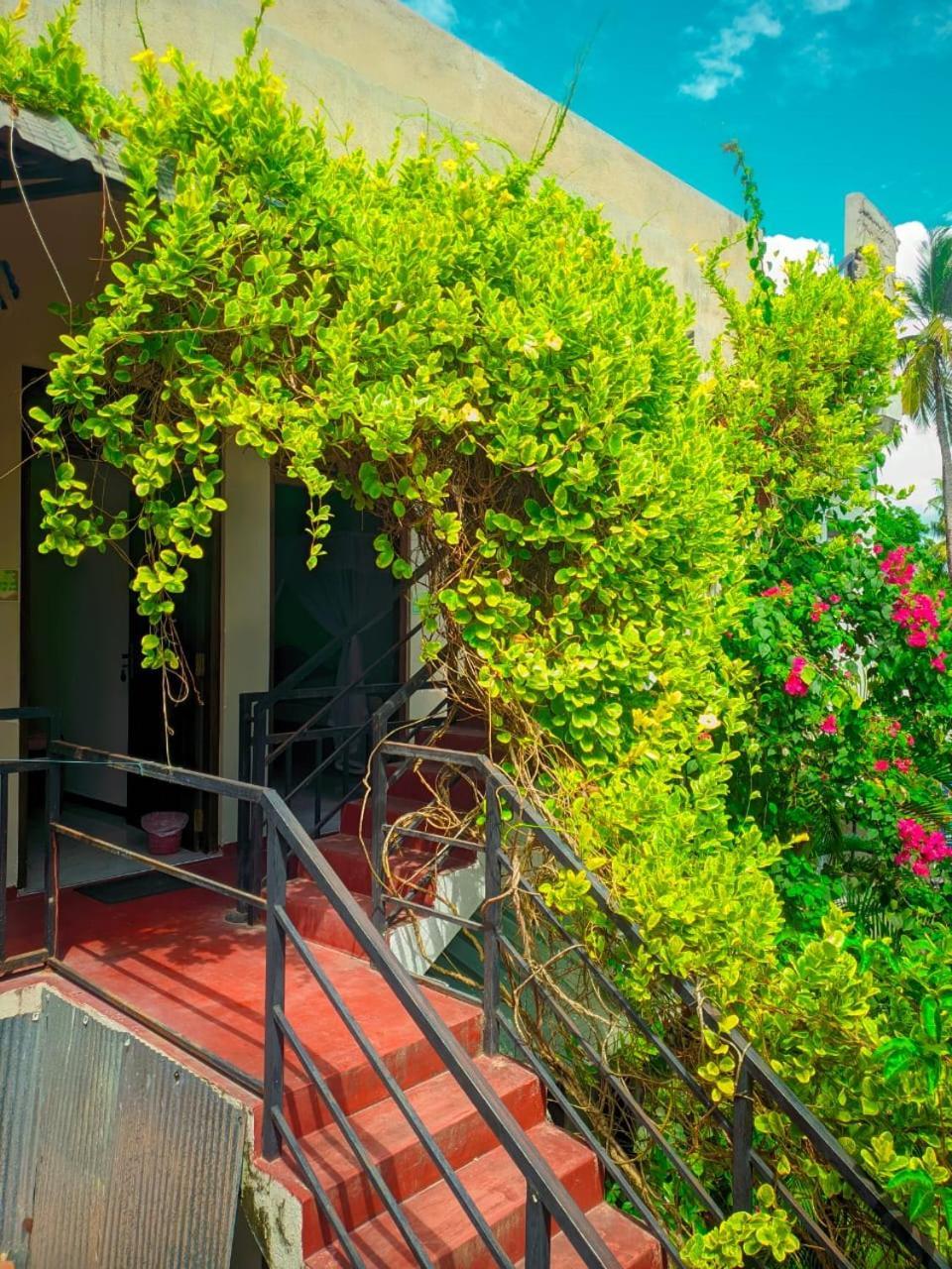 Mila Rest Garden Hotel Mirissa Room photo